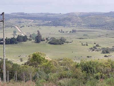 Chacra ID.1439 - Venta Chacras ruta 39 Km. 74 pegado a la ruta- Desde U$S 40.000.-