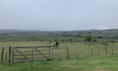 RUTA 39 KM 74, HERMOSO CASCO DE ESTANCIA