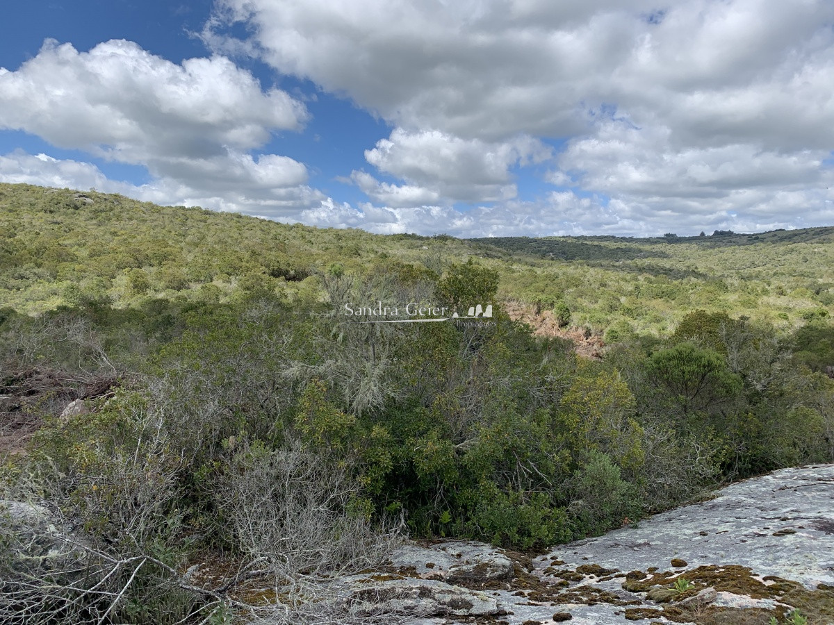 Chacra ID.1567 - RUTA 39 KM 74 MALDONADO HACIA AIGUA- DESDE u$S 40000.-