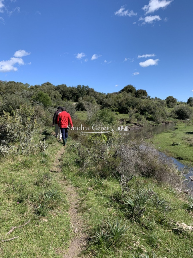 Chacra ID.1567 - RUTA 39 KM 74 MALDONADO HACIA AIGUA- DESDE u$S 40000.-