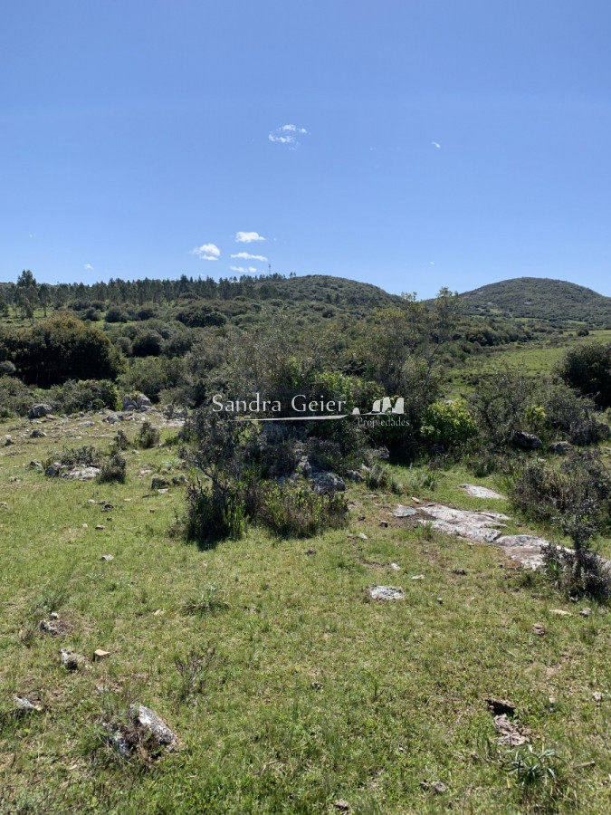 Chacra ID.1567 - RUTA 39 KM 74 MALDONADO HACIA AIGUA- DESDE u$S 40000.-