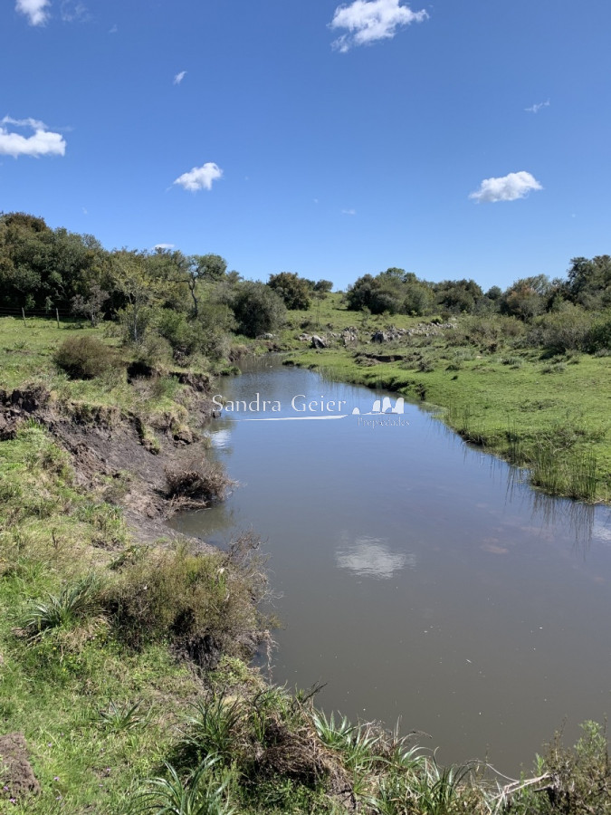 Chacra ID.1567 - RUTA 39 KM 74 MALDONADO HACIA AIGUA- DESDE u$S 40000.-