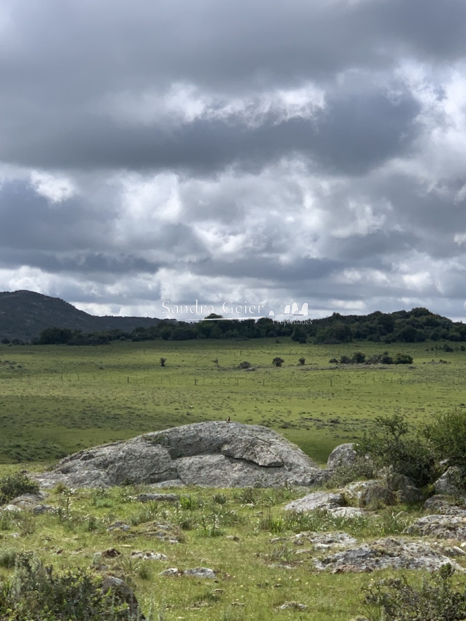 Chacra ID.1567 - RUTA 39 KM 74 MALDONADO HACIA AIGUA- DESDE u$S 40000.-