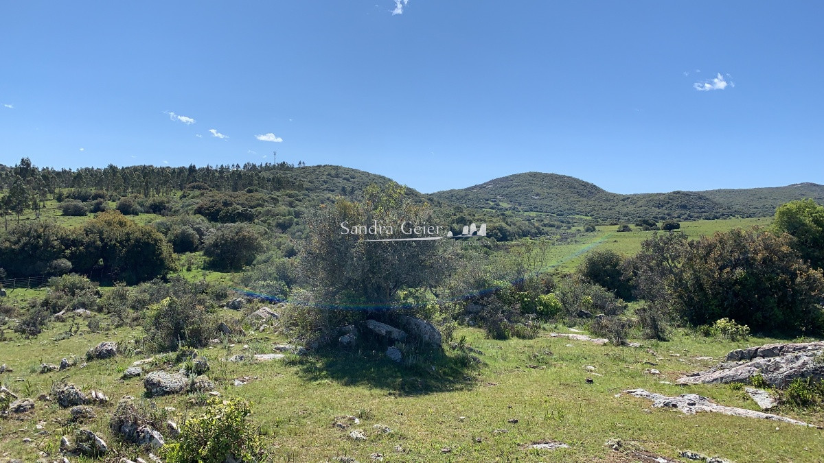 Chacra ID.1567 - RUTA 39 KM 74 MALDONADO HACIA AIGUA- DESDE u$S 40000.-
