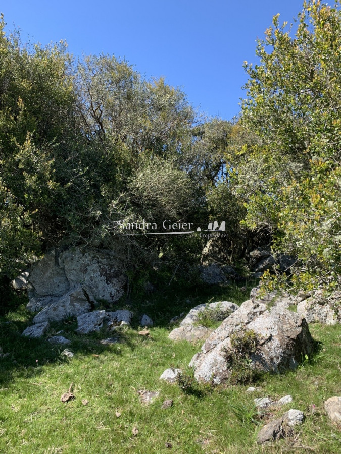Chacra ID.1567 - RUTA 39 KM 74 MALDONADO HACIA AIGUA- DESDE u$S 40000.-