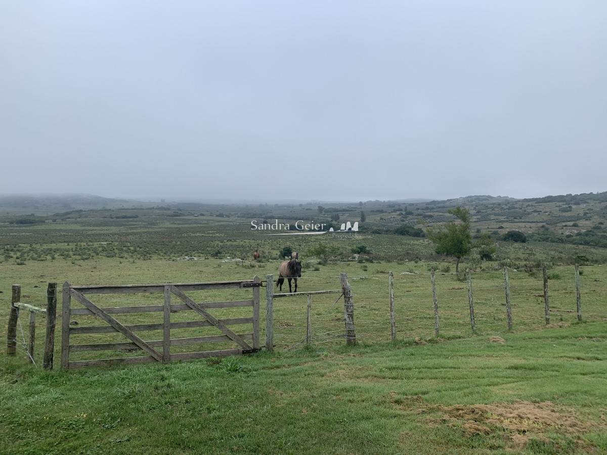 Chacra ID.2141 - RUTA 39 KM 74, HERMOSO CASCO DE ESTANCIA