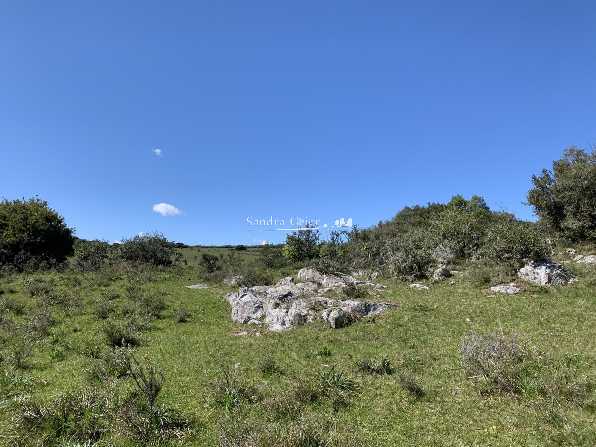 Chacra ID.1567 - RUTA 39 KM 74 MALDONADO HACIA AIGUA- DESDE u$S 40000.-
