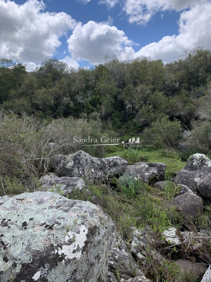 Chacra ID.1567 - RUTA 39 KM 74 MALDONADO HACIA AIGUA- DESDE u$S 40000.-