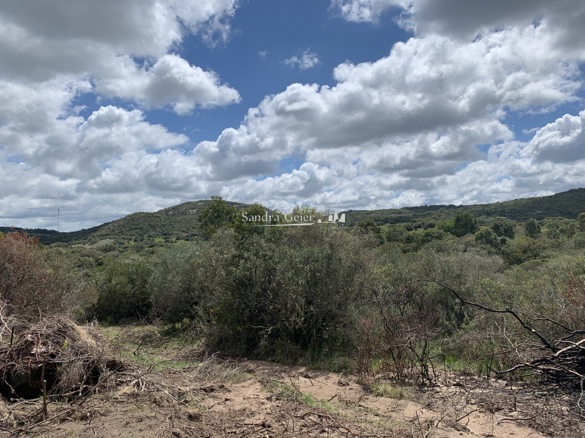 Chacra ID.1567 - RUTA 39 KM 74 MALDONADO HACIA AIGUA- DESDE u$S 40000.-
