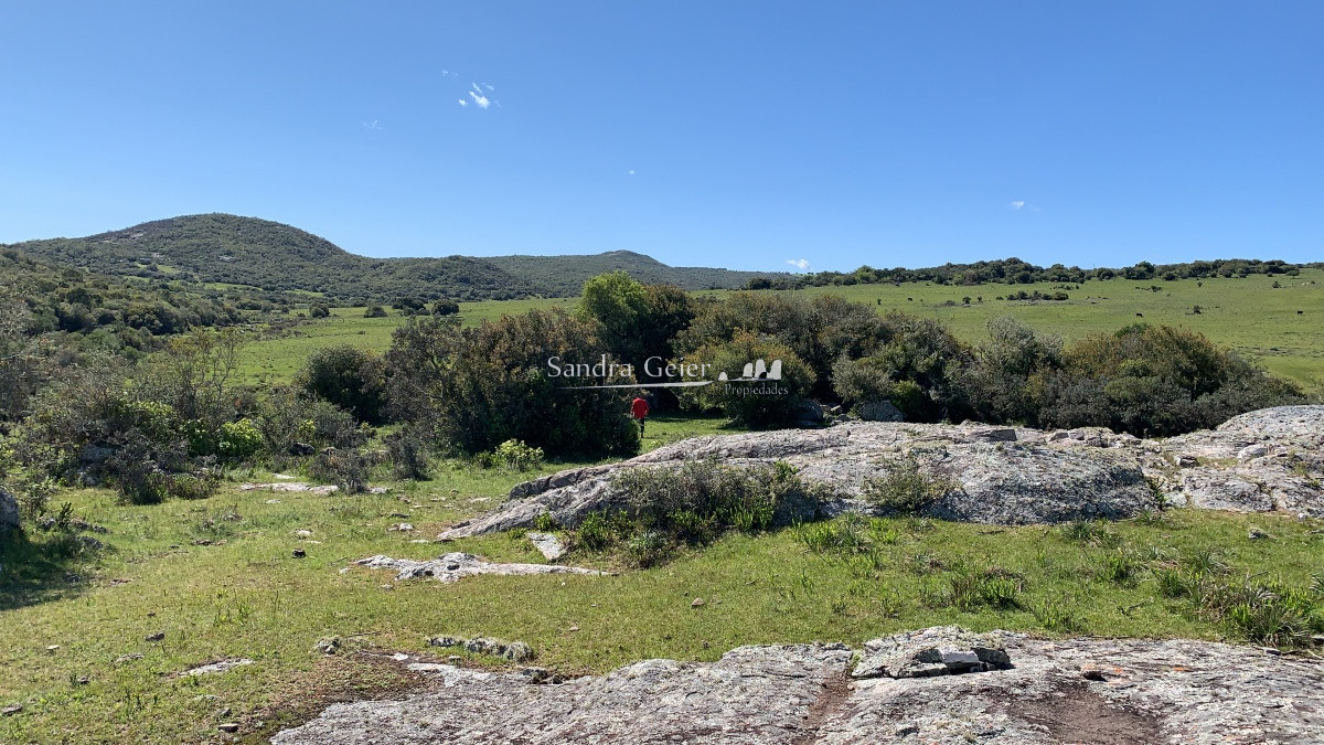 Chacra ID.1567 - RUTA 39 KM 74 MALDONADO HACIA AIGUA- DESDE u$S 40000.-