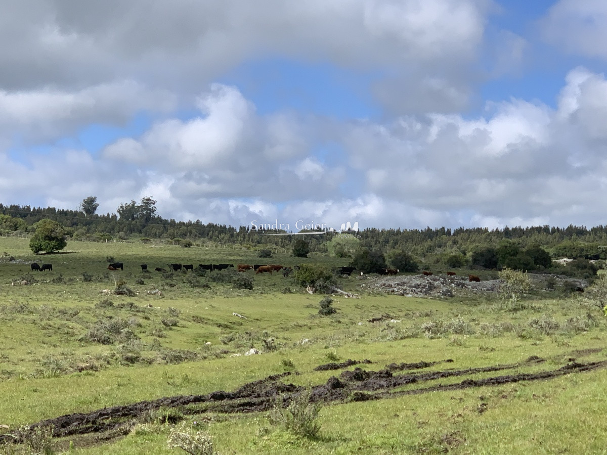 Chacra ID.1567 - RUTA 39 KM 74 MALDONADO HACIA AIGUA- DESDE u$S 40000.-