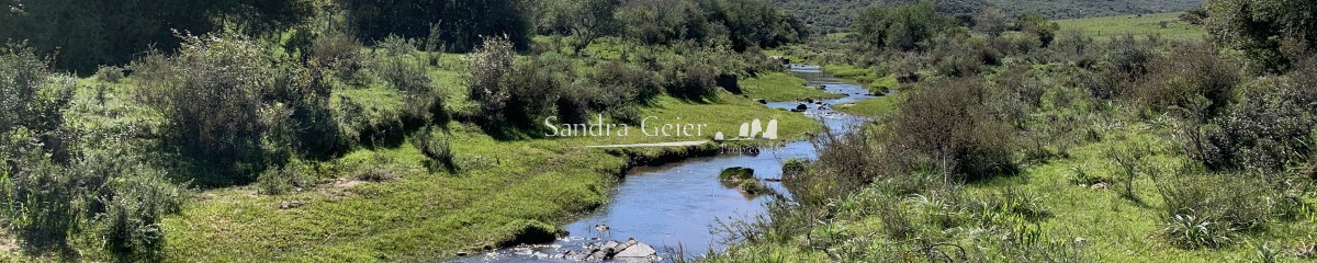 RUTA 39 KM 74 MALDONADO HACIA AIGUA- DESDE u$S 40000.-