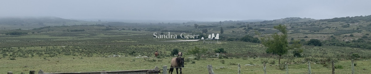 RUTA 39 KM 74, HERMOSO CASCO DE ESTANCIA
