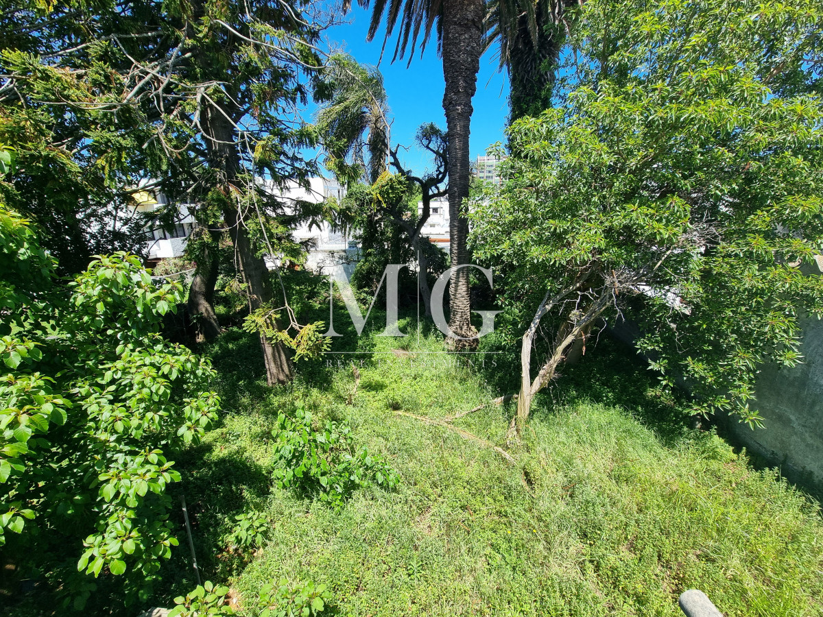 Local Comercial ID.1531 - Casa para Reciclar en Venta - Centro de Maldonado