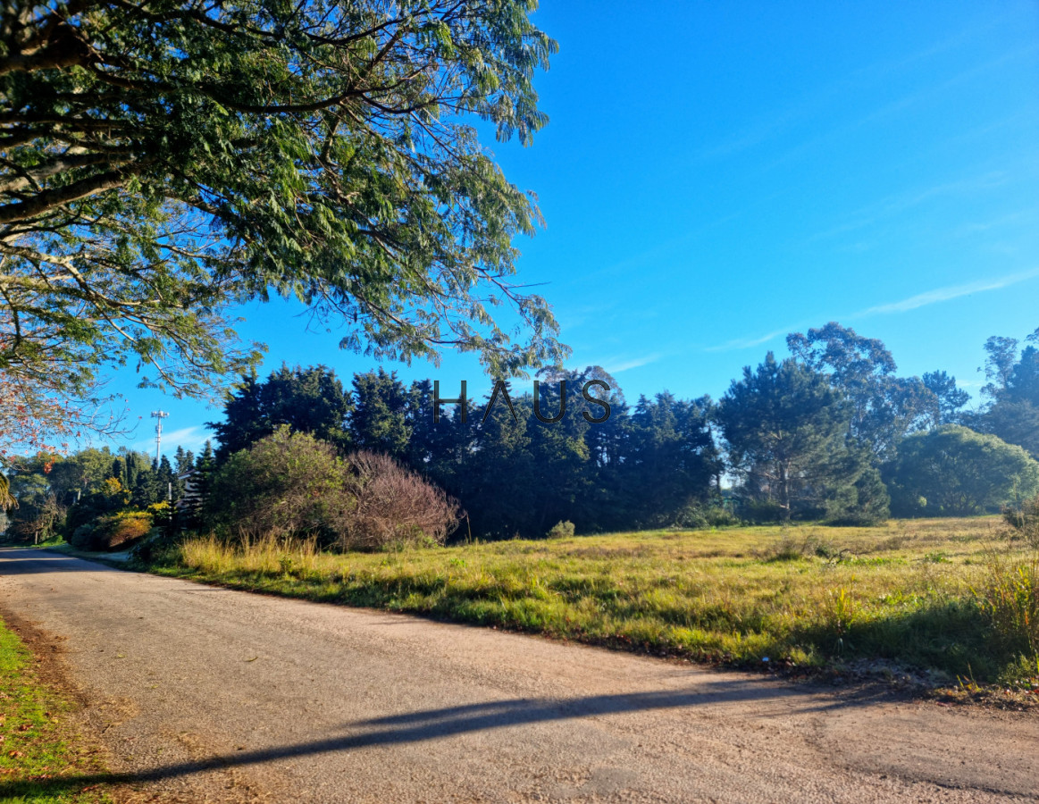 Terreno ID.1001 - Terreno en venta en Beverly Hills. 