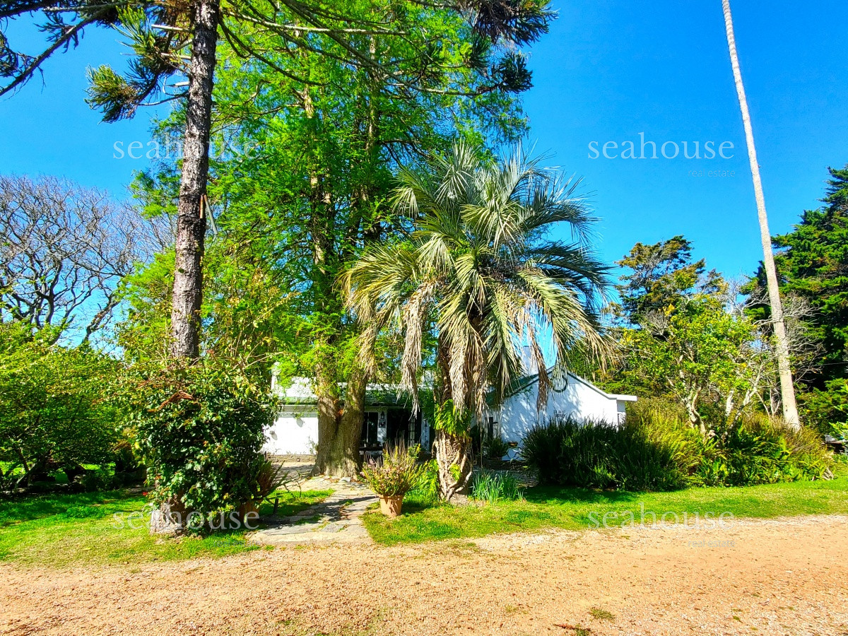 Casa Ref.592 - Casa en el Golf rodeada de vegetación. 