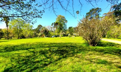 Casa en el Golf rodeada de vegetación.
