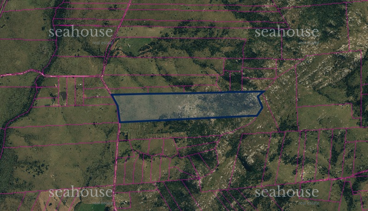 Campo Ref.559 - Campo en venta de 80 hectáreas, muy cercano a Ruta 39.