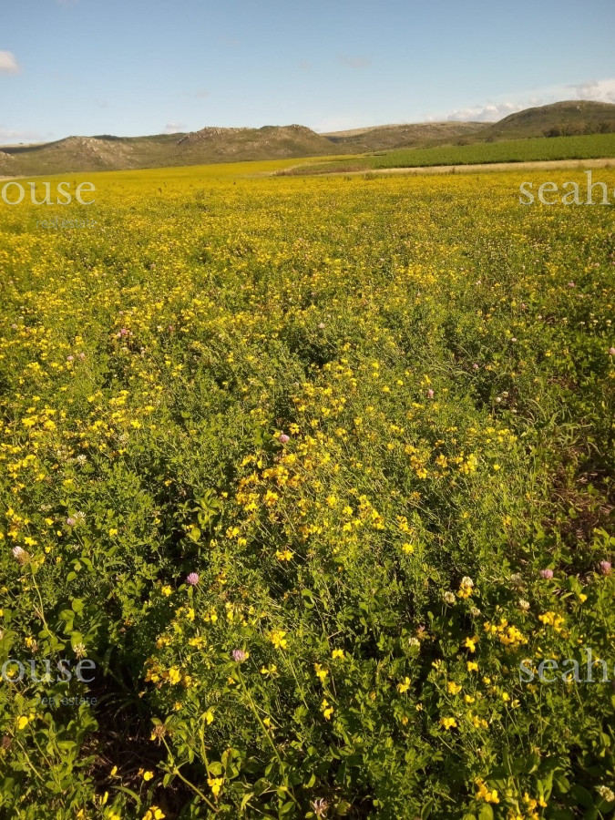 Campo Ref.545 - Campo en venta Agrícola - Ganadero