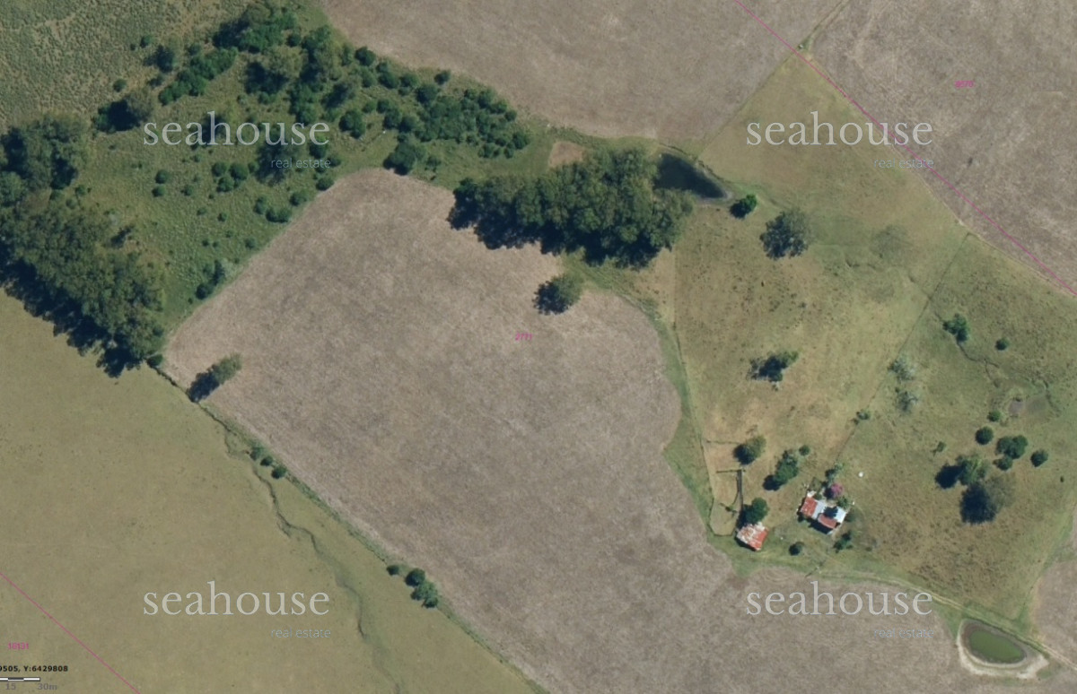 Campo Ref.389 - VENTA CAMPO AGRICOLA GANADERO CERRO LARGO a 12 kms. de MELO.-