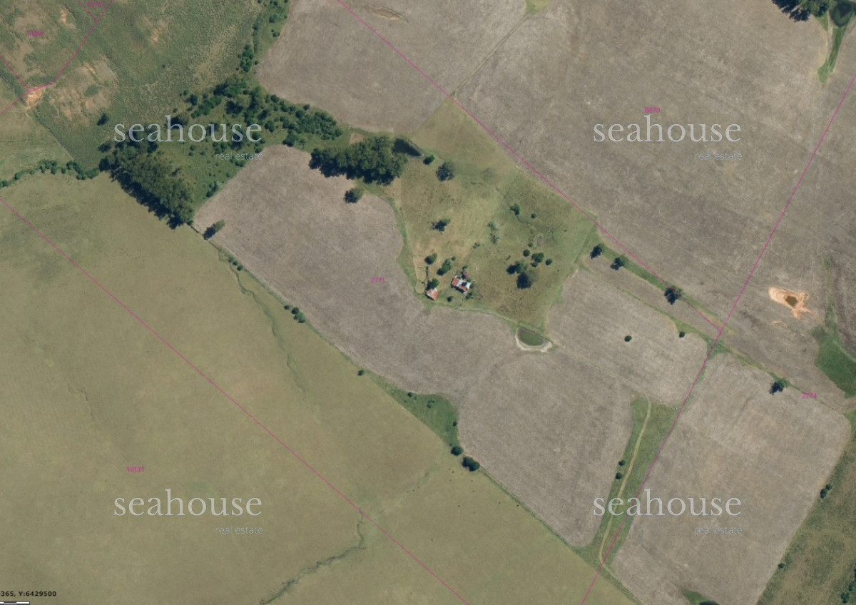 Campo Ref.389 - VENTA CAMPO AGRICOLA GANADERO CERRO LARGO a 12 kms. de MELO.-