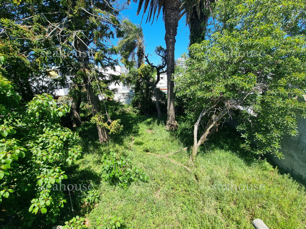 Local Comercial Ref.1096 - Casa para Reciclar en Venta - Centro de Maldonado