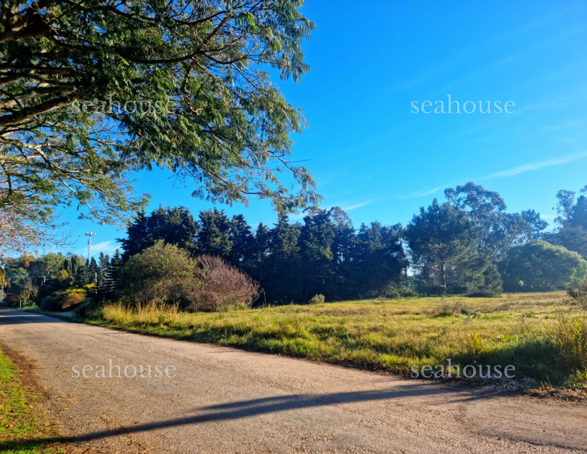 Terreno Ref.1416 - Terreno en venta en Beverly Hills. 