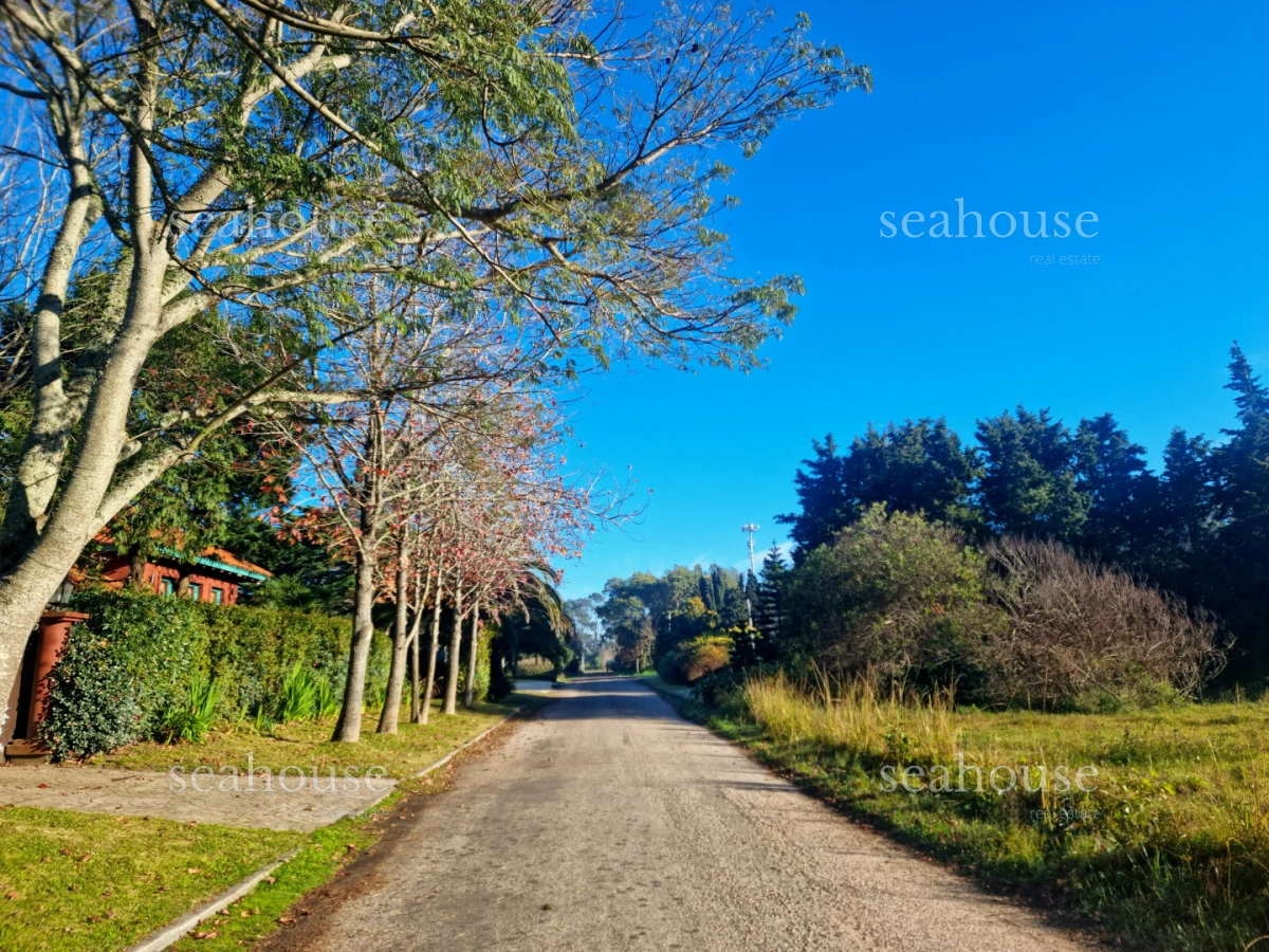 Terreno Ref.1416 - Terreno en venta en Beverly Hills. 