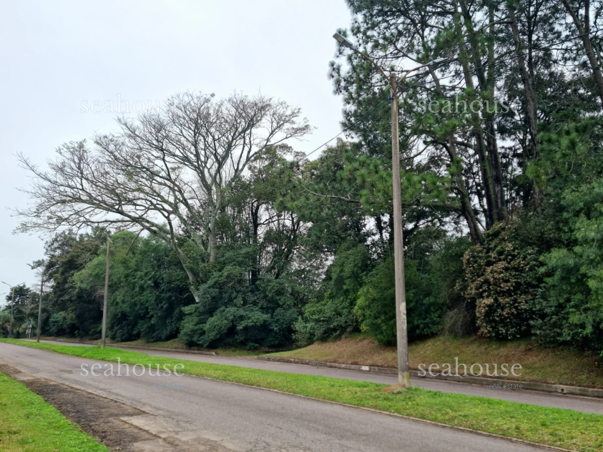 Terreno Ref.1416 - Terreno en venta en Beverly Hills. 