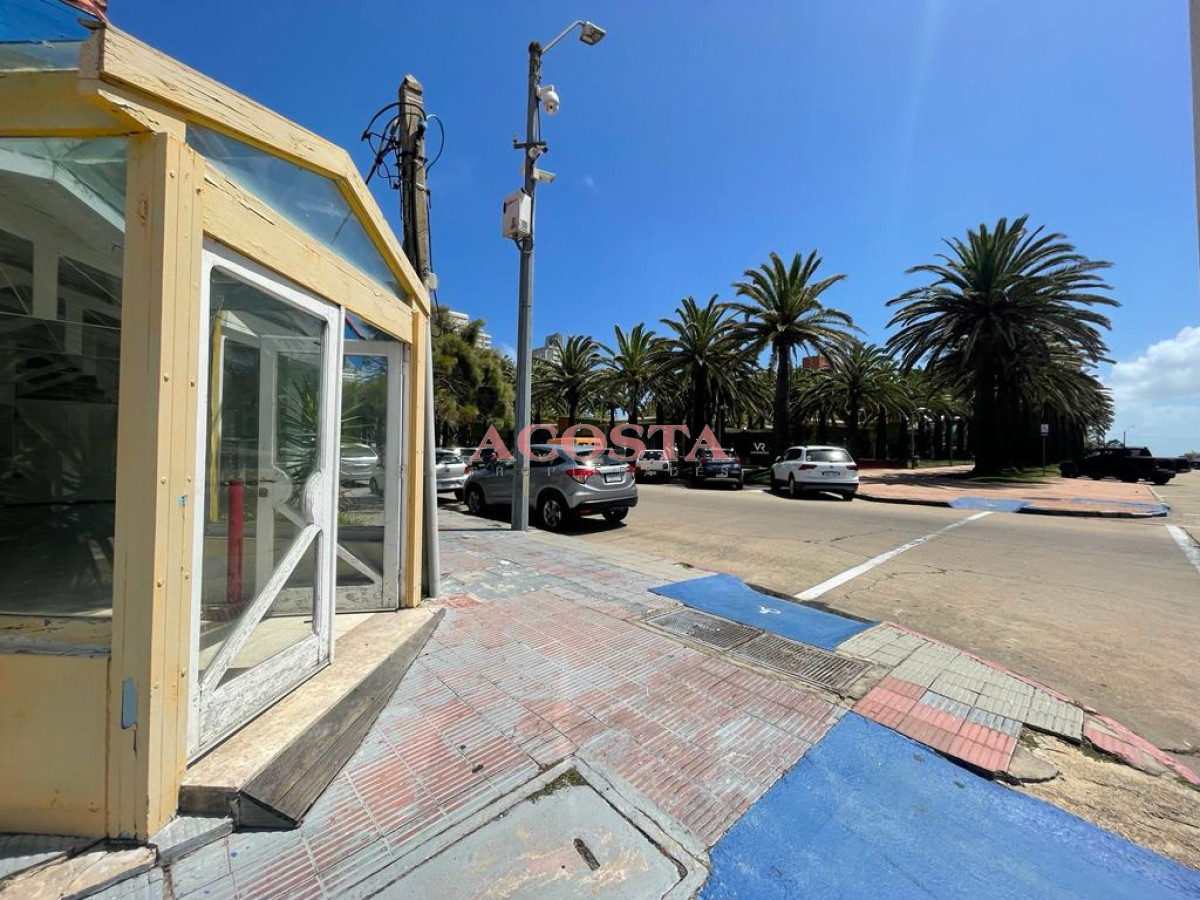Local Comercial ID.215 - Excelente local en Peninsula esquinero con vista al mar , apto. gastronomia, muebleria, 