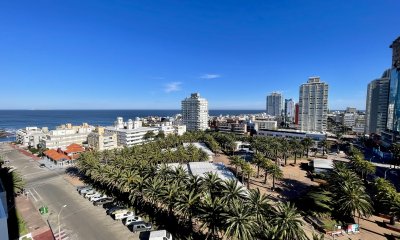 Vista al puerto y al faro