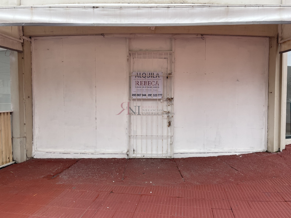 Península - GoPunta - Portal Inmobiliario de Punta del Este - Maldonado