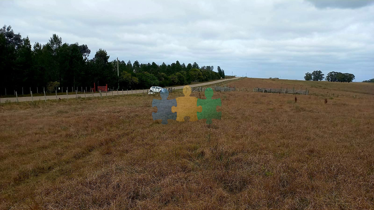Campo de calidad a minutos de José Ignacio y Garzón   Ref : EQP5808 - GoPunta - Portal Inmobiliario de Punta del Este - Maldonado