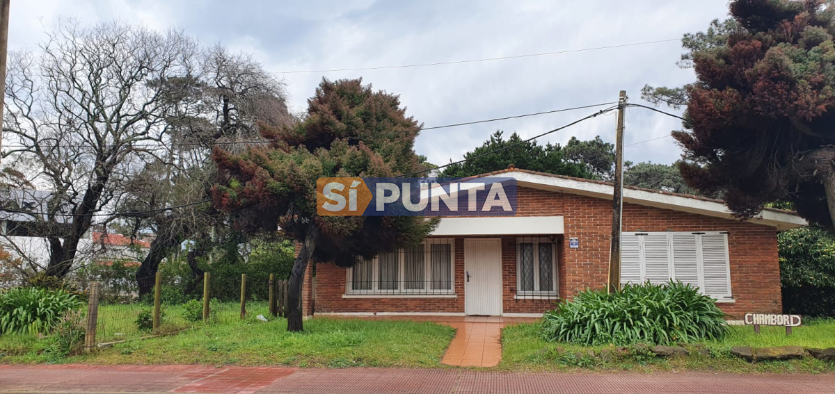 punta del este, área comercial pda. 5 - spt4265c