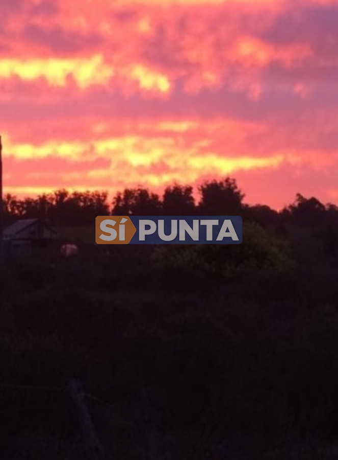 Chacra ID.5062 - Chacra importante en R. 39 con 700 m2. construidos