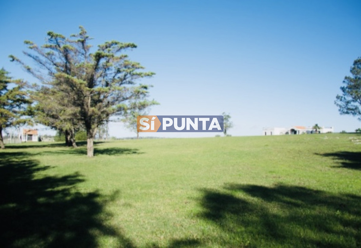 Chacra ID.5062 - Chacra importante en R. 39 con 700 m2. construidos