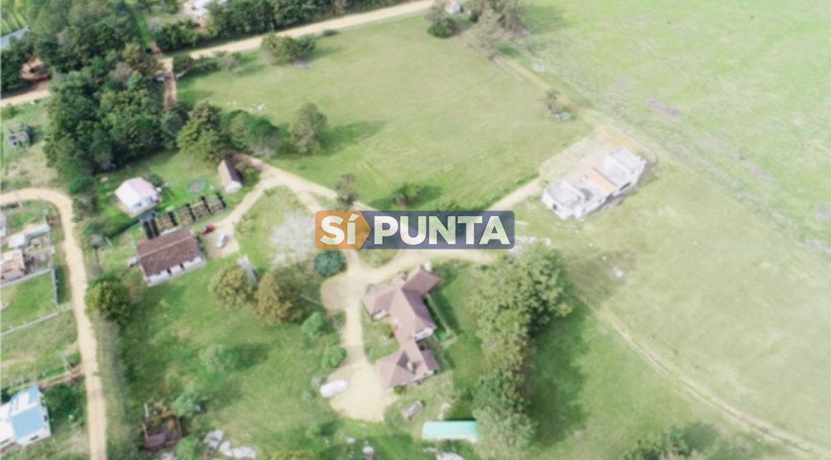 Chacra ID.5062 - Chacra importante en R. 39 con 700 m2. construidos