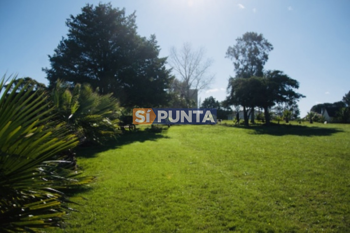 Chacra ID.5062 - Chacra importante en R. 39 con 700 m2. construidos