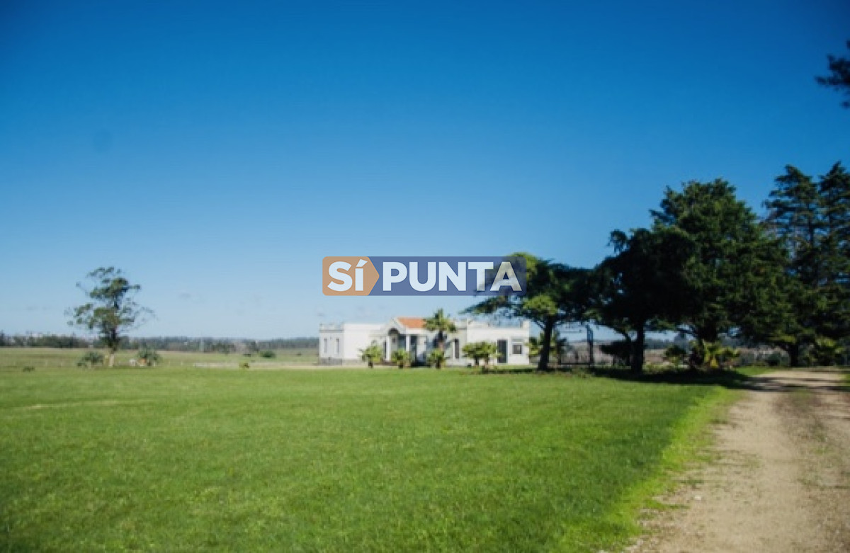 Chacra ID.5062 - Chacra importante en R. 39 con 700 m2. construidos