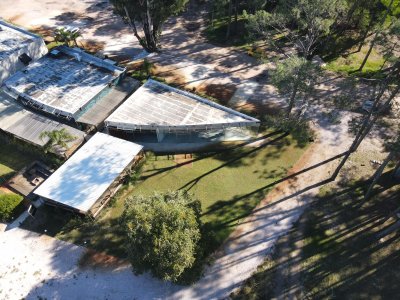 local comercial en alquiler anual punta ballena - dmc12225l