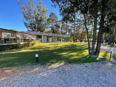 local comercial en alquiler anual punta ballena - dmc12225l