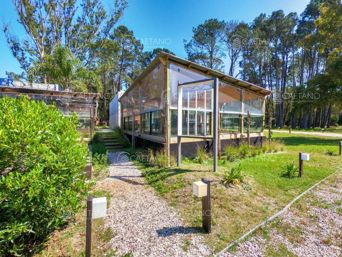 Punta Ballena - GoPunta - Portal Inmobiliario de Punta del Este - Maldonado