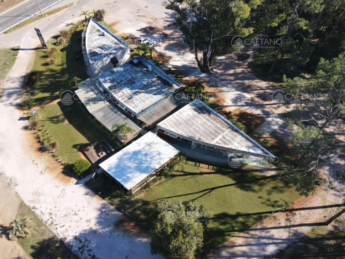 Punta Ballena - GoPunta - Portal Inmobiliario de Punta del Este - Maldonado