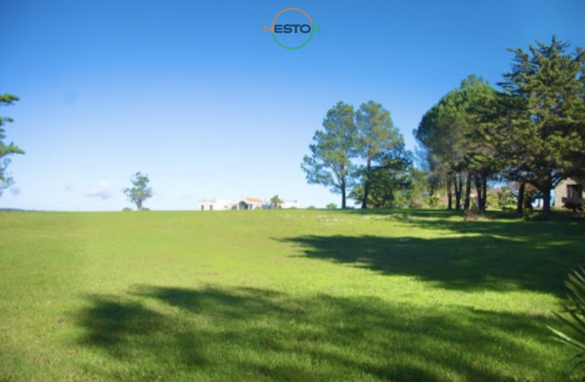 Chacra ID.5320 - Chacra importante en R. 39 con 700 m2. construidos