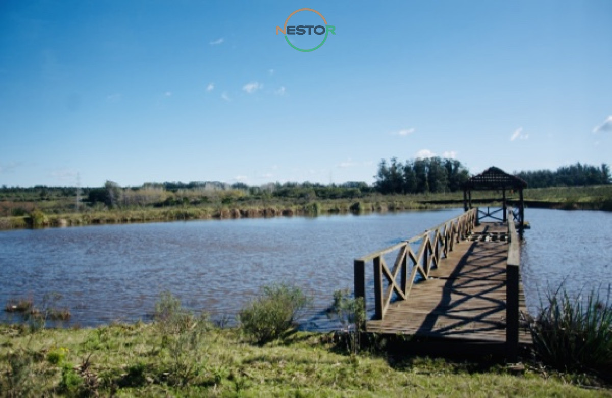 Chacra ID.5320 - Chacra importante en R. 39 con 700 m2. construidos