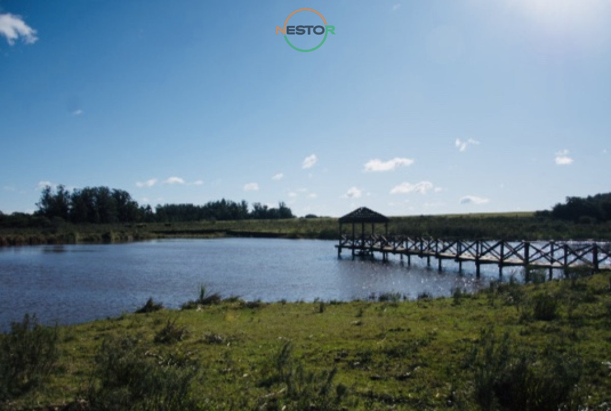 Chacra ID.5320 - Chacra importante en R. 39 con 700 m2. construidos