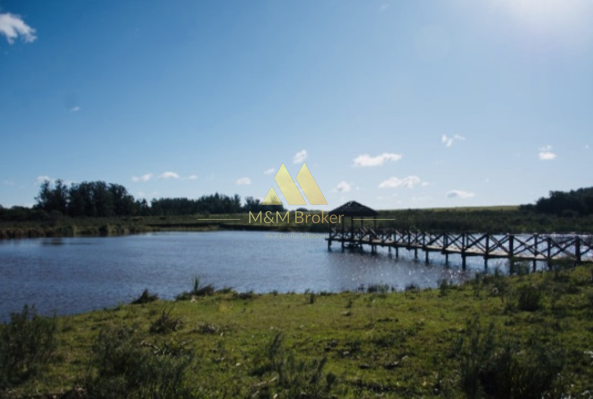 Ruta 39 - GoPunta - Portal Inmobiliario de Punta del Este - Maldonado