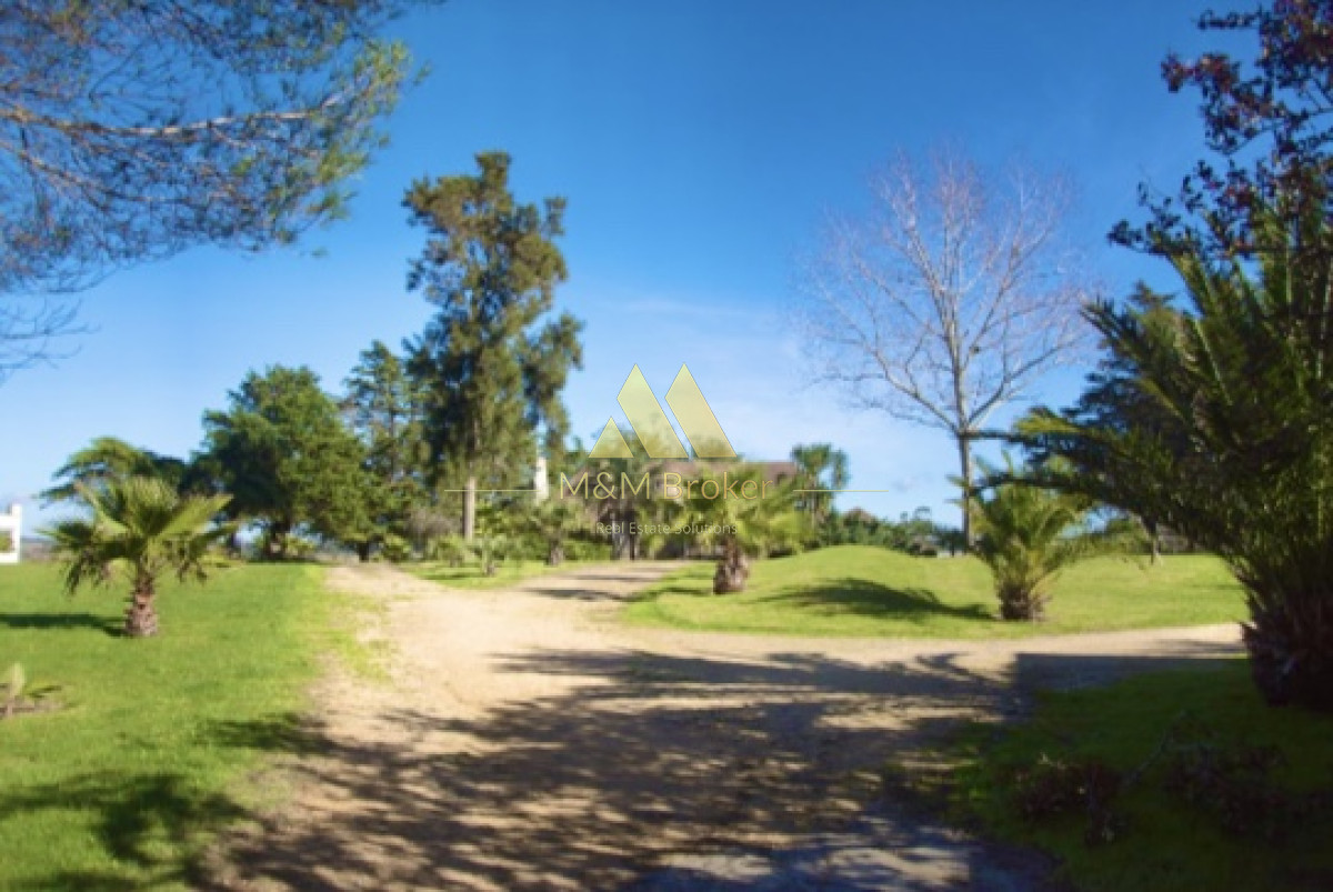 Ruta 39 - GoPunta - Portal Inmobiliario de Punta del Este - Maldonado