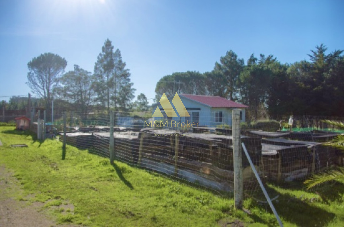 Ruta 39 - GoPunta - Portal Inmobiliario de Punta del Este - Maldonado