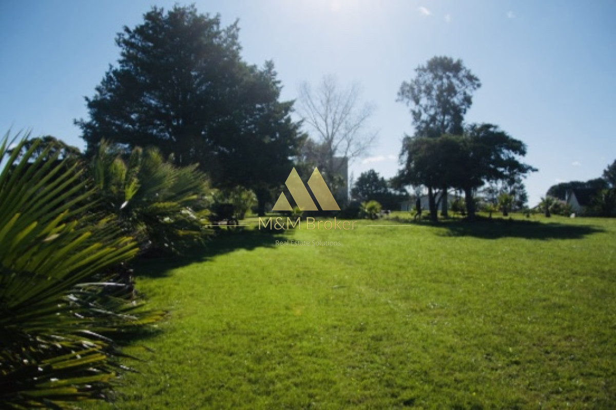 Chacra ID.118 - Venta de chacra en ruta 39